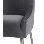 TOV Furniture Beatrix Grey Velvet Side Chair with Silver Leg
