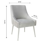 TOV Furniture Beatrix Pleated Light Grey Velvet Side Chair - Silver Legs