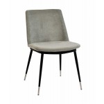 TOV Furniture Evora Grey Velvet Chair - Silver Legs (Set of 2)