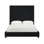 TOV Furniture Javan Black Velvet Bed in Queen