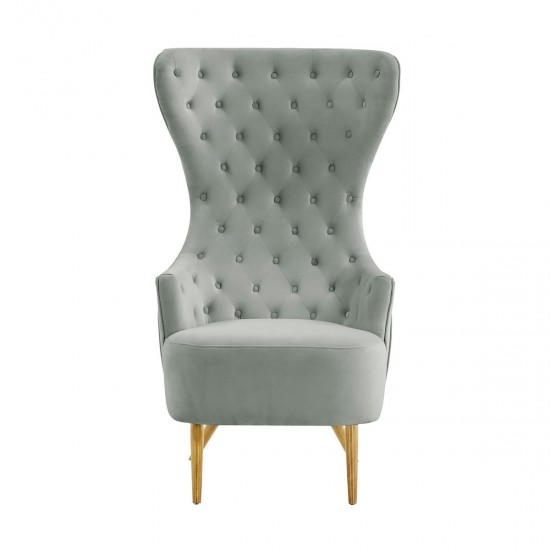 TOV Furniture Jezebel Grey Velvet Wingback Chair