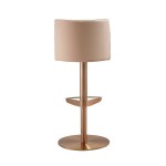 TOV Furniture Loosha Cafe Au Lait and Rose Gold Adjustable Stool