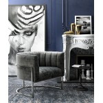 TOV Furniture Magnolia Slub Grey Chair with Silver Base