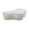 TOV Furniture Slab Marble Coffee Table