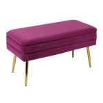 TOV Furniture Ziva Plum Velvet Storage Bench