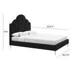 TOV Furniture Bianca Black Velvet Bed in Queen