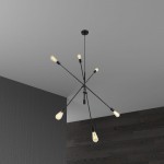 6 Light Incandescent Adjustable Pendant Matte Black Finish