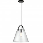 1 Light Incandescent Pendant Matte Black Finish with Clear Glass