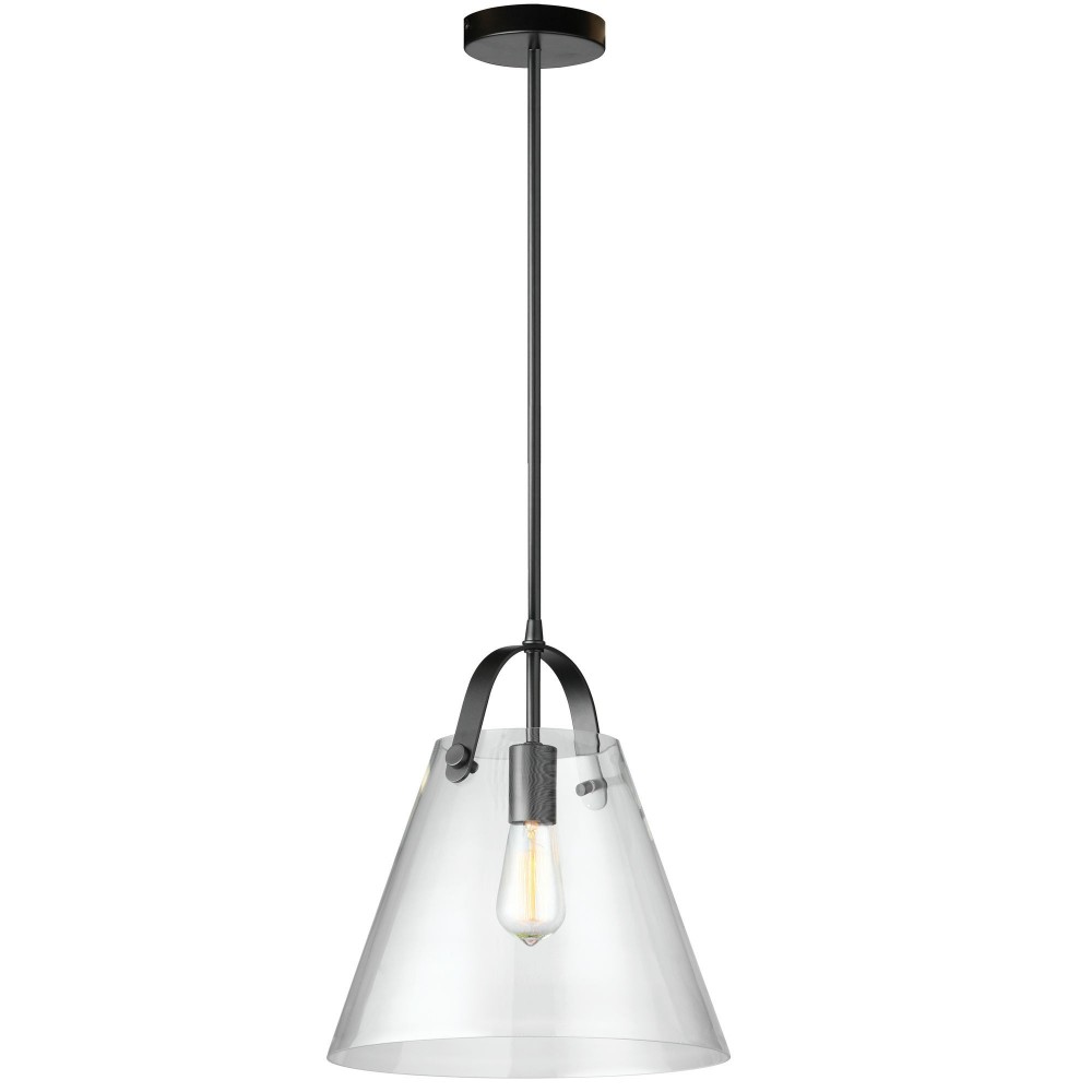 1 Light Incandescent Pendant Matte Black Finish with Clear Glass