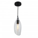 1 Light Incandescent Pendant, Black Finish with Clear Glass