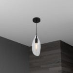 1 Light Incandescent Pendant, Black Finish with Clear Glass