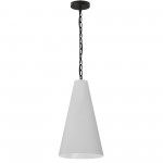 1 Light Small Anaya Matte Black Pendant w/ White Shade