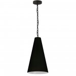 1 Light Small Anaya Matte Black Pendant w/ Black Shade