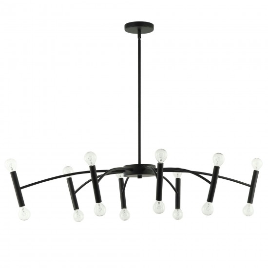 Aragog 16 Light Incandescent Horizontal Pendant, Matte Black