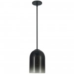 1 Light Pendant, Matte Black with Black / Clear Glass