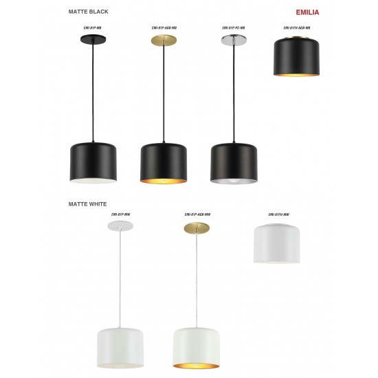 1 Light Incandescent Pendant, Matte Black Shade
