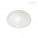 30W Flush Mount, Matte White Finish