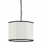 1 Light Incandescent Matte Black Pendant w/ White Shade and