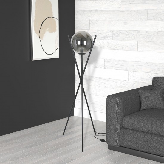 1 Light Incandescent Floor Lamp Matte Black Finish with Smoked Glass