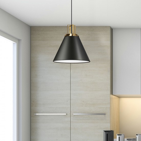 1 Light Incandescent Pendant, Matte Black w/ Aged Brass Accent