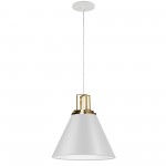 1 Light Incandescent Pendant, Matte White w/ Aged Brass Accent