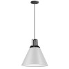 1 Light Incandescent Pendant, Matte White with Matte Black Accent