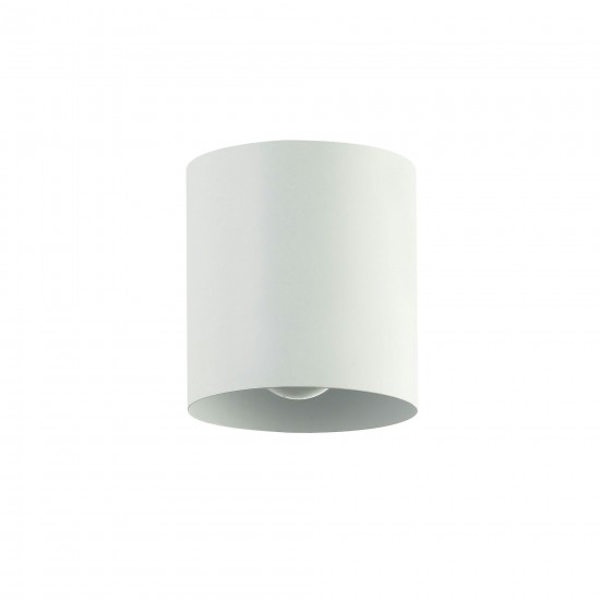 1 Light Flush Mount, Matte White