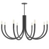Wand 8 Light Incandescent Chandelier, Matte Black