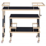 ACME Kina Serving Cart, Gold/Black & Smoky Glass