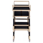 ACME Kina Serving Cart, Gold/Black & Smoky Glass