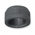 0.5 in. x 0.5 in. Iron Cap