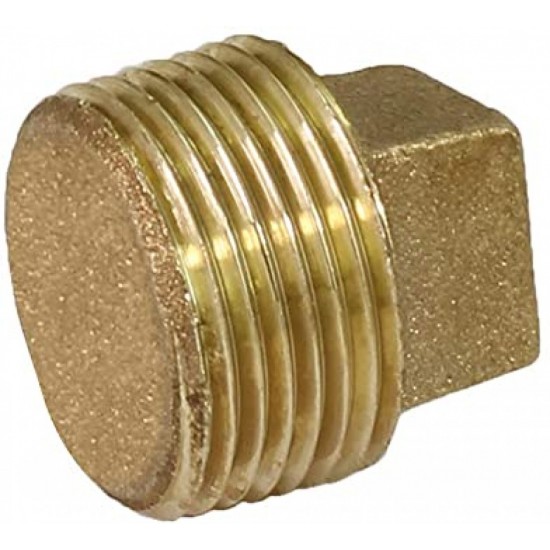 2 in. x 2 in. Brass Plug