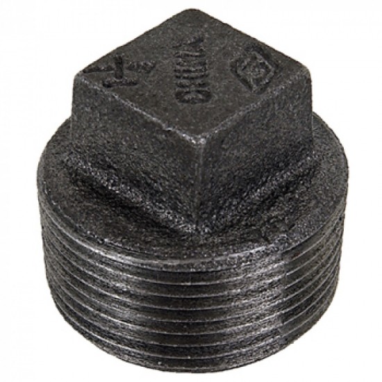 0.5 in. x 0.5 in. Iron Plug, M