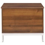 ACME Sterret Night Table, Walnut & Satin Plated
