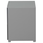 ACME Byrde Night Table, Gray