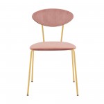 Neo Modern Pink Velvet and Gold Metal Leg Dining Room Chairs - Set of 2