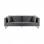 Lenox Gray Velvet Modern Sofa with Brass Legs