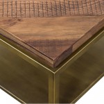 Faye Rustic Brown Wood Side table with Shelf and Antique Brass Base