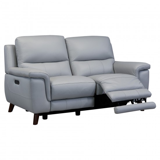 Lizette Loveseat in Dark Brown Wood Finish and Dove Gray Genuine Leather