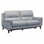 Lizette Contemporary Sofa in Dark Brown Wood Finish & Dove Gray Genuine Leather