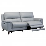 Lizette Contemporary Sofa in Dark Brown Wood Finish & Dove Gray Genuine Leather