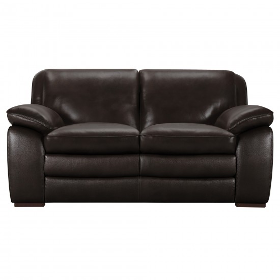 Zanna Contemporary Loveseat in Genuine Dark Brown Leather with Brown Wood Legs