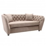 Rhianna Transitional Loveseat in Camel Tufted Chair