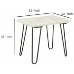 ACME Telestis End Table, White Marble & Black