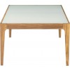 ACME Gwynn Coffee Table, Natural & Frosted Glass