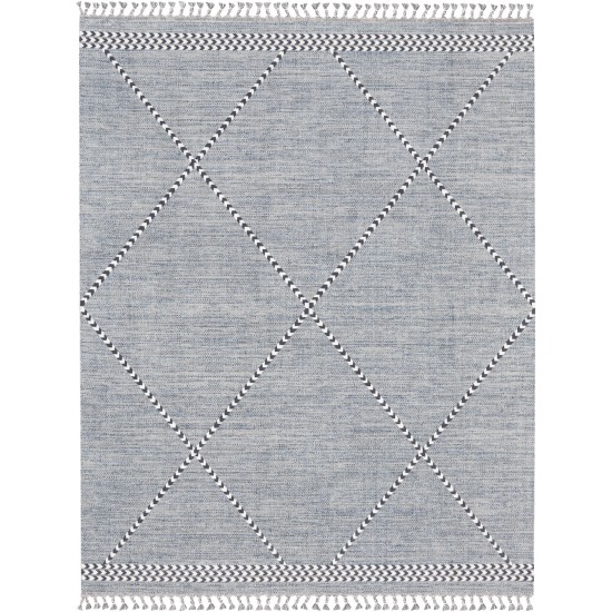 Nourison Asilah ASI01 Area Rug, Light Blue, 7'10" x 10'6"
