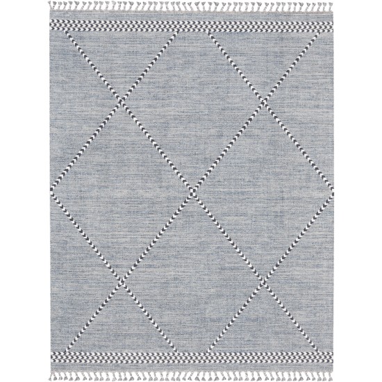 Nourison Asilah ASI01 Area Rug, Light Blue, 9' x 12'2"