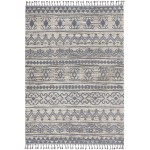 Nourison Asilah ASI03 Area Rug, Mocha/Charcoal, 4' x 6'2"