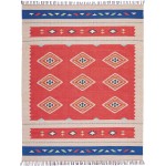 Nourison Baja BAJ02 Area Rug, Red/Beige, 8' x 10'