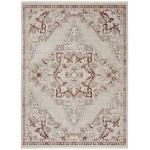 Nourison Carina CNA01 Area Rug, Brick/Silver, 7'10" x 9'10"